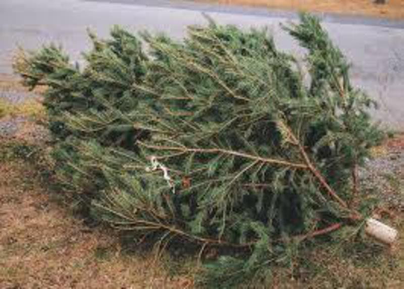 Officials give fire safety tips for Christmas trees, fireworks